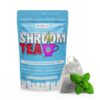 Buy Moroccan Mint Shroom Tea - 1 GRAM In USA,Canada & Europe Online