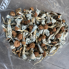 Buy Mammoth Magic Mushrooms In USA,Canada & Europe Online Buy Mammoth Magic Mushrooms In USA,Canada & Europe Online